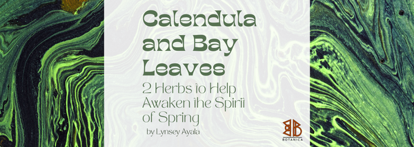 Calendula and Bay Leaves: 2 Herbs to Help Awaken the Spirit of Spring