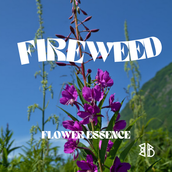 Fireweed Flower Essence *NEW*