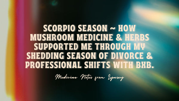 Scorpio Season ~ How Mushroom Medicine & Herbs Supported Me Through my Shedding Season of Divorce & Professional Shifts With BxB