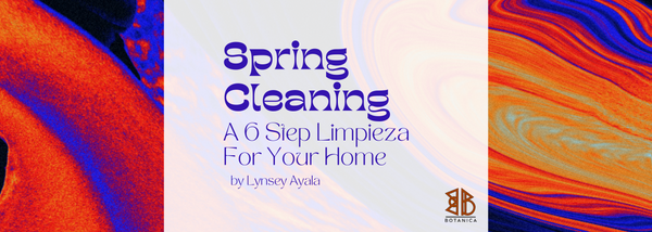 Spring Cleaning—A 6 Step Limpieza For Your Home
