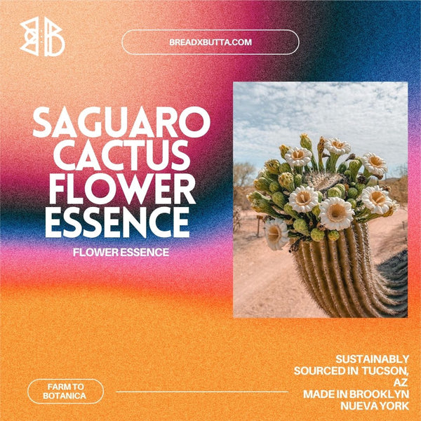 Saguaro Flower Essence