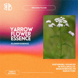 Yarrow Flower Essence