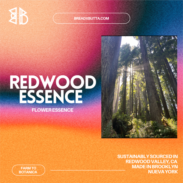 Redwood Essence