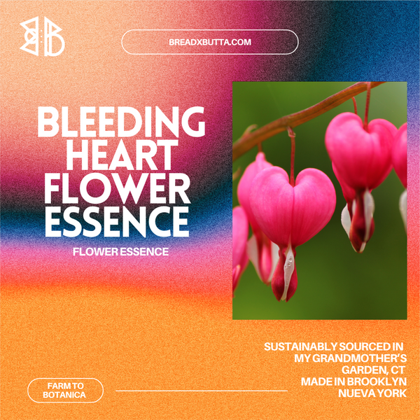 Bleeding Heart Flower Essence