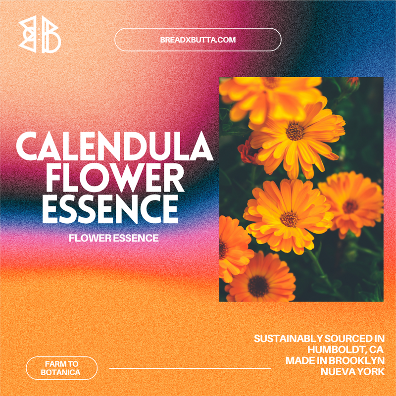Calendula Flower Essence