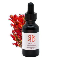 Ocotillo Cactus Flower Essence